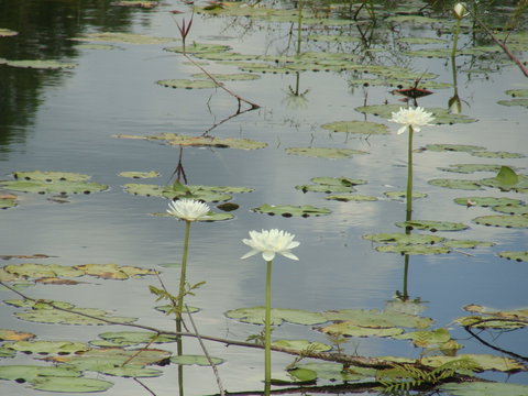Djukbinj National Park - Stayed 1