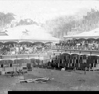 Don Dorrigo and Guy Fawkes Historical Society Museum - Stayed