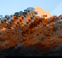 Evans Crown Nature Reserve - Stayed