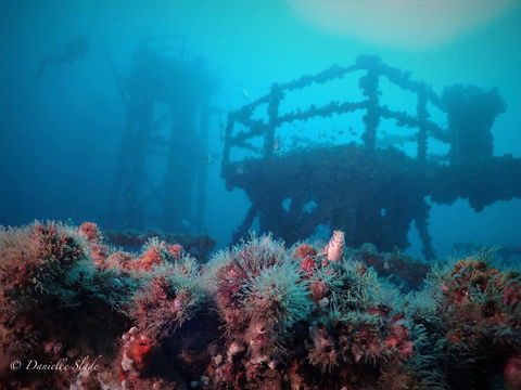 Ex HMAS Adelaide - Stayed 0