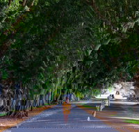 Fig Tree Avenue - Stayed