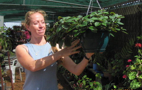 Folk Art Cooperative - Stayed 1