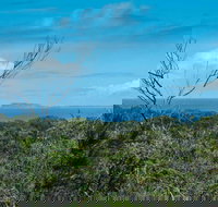 Forest Walking Track Crowdy Bay National Park - Stayed