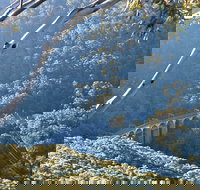 Forest Walk to Sublime Point Track - Stayed