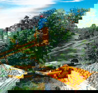 Gayndah's Big Orange - Stayed