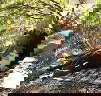 Haig Street Quarry Bushland Reserve Trails - Stayed