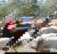 Haigslea EWE Nique Hobby Farm - Stayed