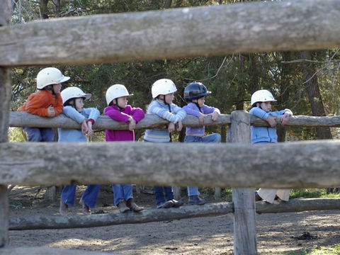 Harlow Park Horse Riding - Stayed 0