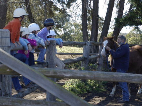 Harlow Park Horse Riding - Stayed 2