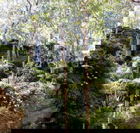 Haunted Point Loop Walk - Stayed