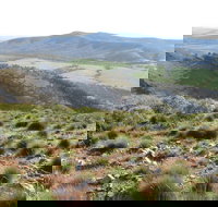 Horseshoe Rim 4WD Adventure Track - Stayed