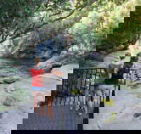 Josephine Falls walking track Wooroonooran National Park - Stays Accommodation
