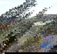 Kinchina Conservation Park - Stayed