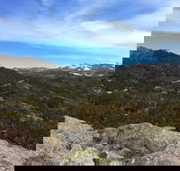 Kosciuszko National Park Charlottes Pass to Snowy River - Stayed