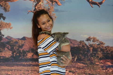 Kuranda Koala Gardens - Stayed 0