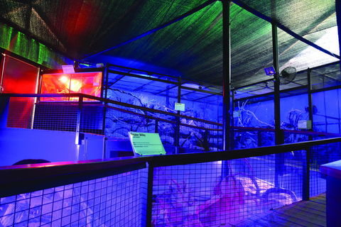 Kuranda Koala Gardens - Stayed 2