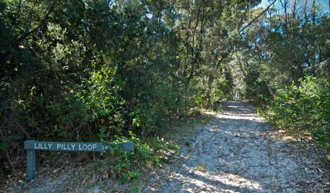 Lillypilly Loop Trail - Stayed 0