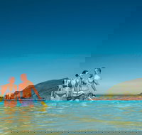 Llewellyn Dive Site - Stayed