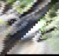 Lochern National Park - Stayed