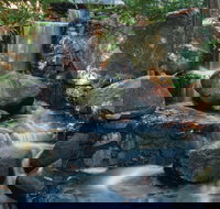 Mackay Regional Botanic Gardens - Stayed