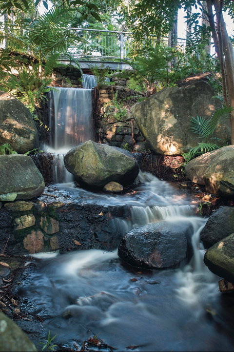 Mackay Regional Botanic Gardens - Stayed 0