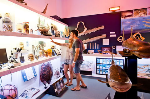 Marine Discovery Centre Hastings Point - Stayed 1