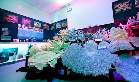 Marine Discovery Centre Hastings Point - Stayed 2