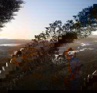 Mount Arthur Reserve - Stayed