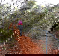 Mount Matilda Walk Trail Wongan Hills - Stays Accommodation