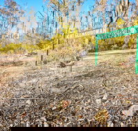 Mt Glenrowan Lookout Walk - Stayed