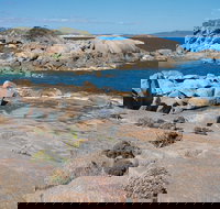 Nanarup Beach - Stayed