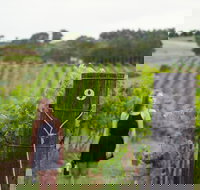 Naturally Luxurious - Great Beach Drive - Stayed