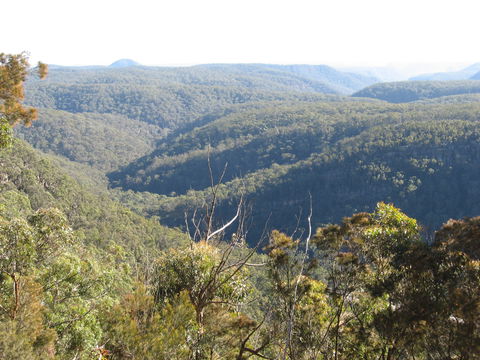 Nattai Gorge Lookout - Stayed 1
