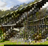 Noojee Trestle Bridge - Stayed