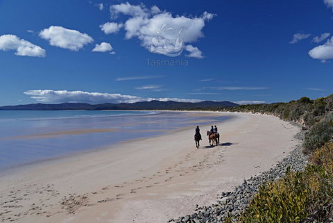 North West - Stayed 0