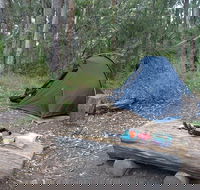 Northbrook Mountain Bush Camp - Stayed