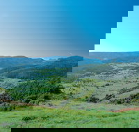 Numinbah Section Springbrook National Park - Stays Accommodation