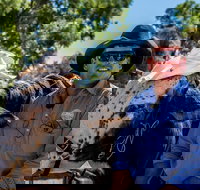 Outback Stockman's Show - Stayed