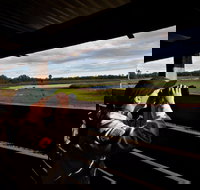 Reed Beds Bird Hide Boardwalk - Stayed