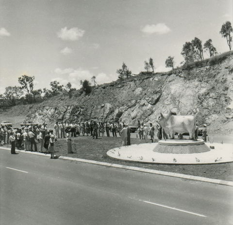Rockhampton Bull Statues - Stayed 0