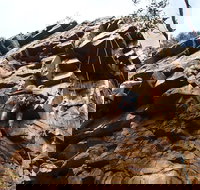 Rock Climbing in Morialta - Stayed