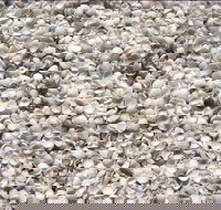 Shell Beach - Stayed