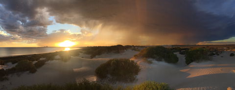 Shelly Beach Dune Walk Trail - Stayed 2