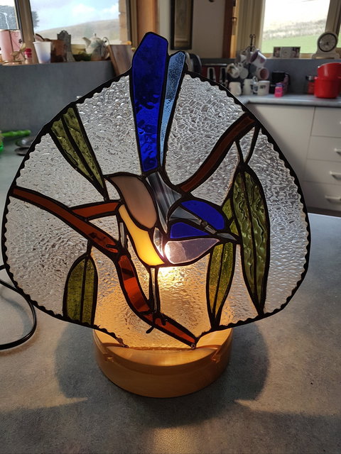 Sophisticated Designs - Stayed 0