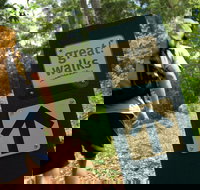 Sunshine Coast Hinterland Great Walk - Stayed