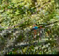 Tamborine Mountain - Stayed