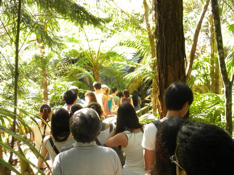 Tamborine Mountain Glow Worm Tours - Stayed 1