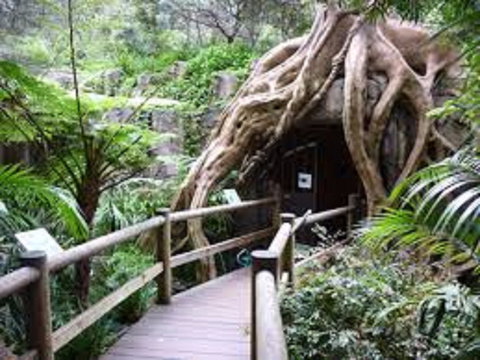 Tamborine Mountain Glow Worm Tours - Stayed 2