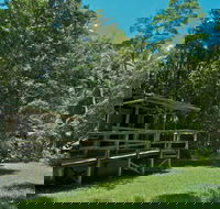 Terania Creek Picnic Area - Stayed