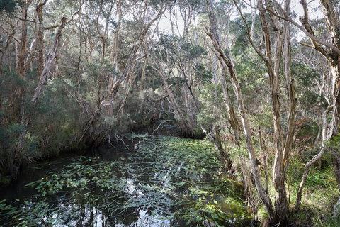 The Briars Park Walking Trails - Stayed 2